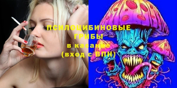 марки lsd Горняк