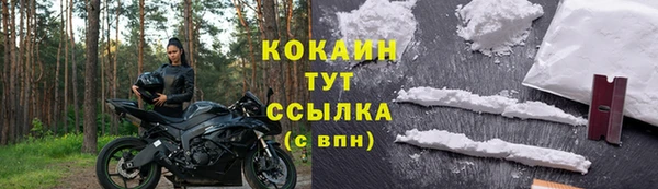 твердый Горнозаводск