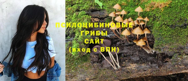 стаф Горно-Алтайск