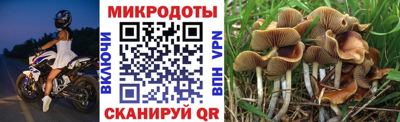 Галлюциногенные грибы Cubensis  Купить  Снежинск 